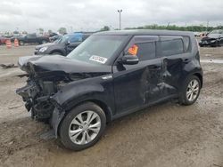 Salvage cars for sale at Indianapolis, IN auction: 2014 KIA Soul +