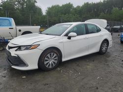Salvage cars for sale at Waldorf, MD auction: 2021 Toyota Camry LE