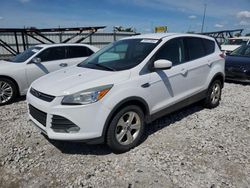 Ford Escape Vehiculos salvage en venta: 2014 Ford Escape SE