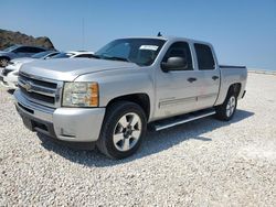 Salvage cars for sale at Temple, TX auction: 2010 Chevrolet Silverado C1500 LT