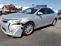 Salvage cars for sale at Hayward, CA auction: 2014 Toyota Camry Hybrid