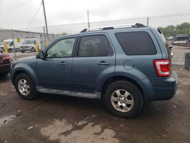 2011 Ford Escape Limited