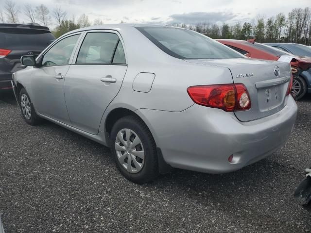 2010 Toyota Corolla Base