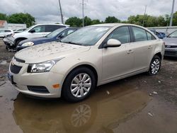 Salvage cars for sale at Columbus, OH auction: 2011 Chevrolet Cruze LT