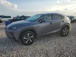 Salvage cars for sale from Copart Temple, TX: 2019 Lexus NX 300 Base