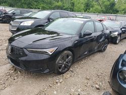 2023 Acura Integra A-Spec en venta en Lexington, KY