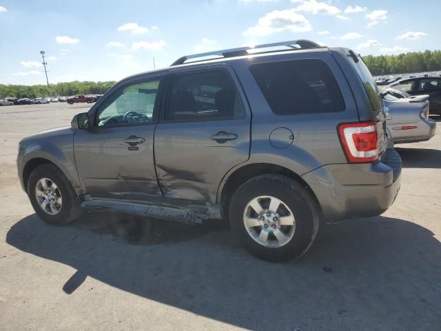 2010 Ford Escape Limited