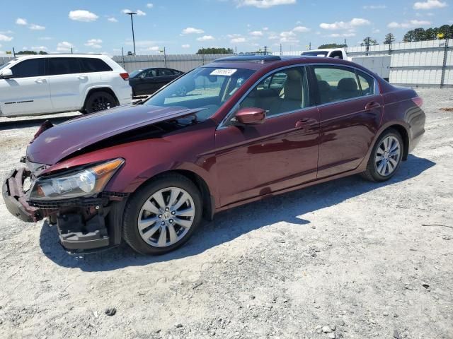 2011 Honda Accord EXL