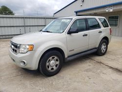 Salvage cars for sale at Florence, MS auction: 2008 Ford Escape XLS