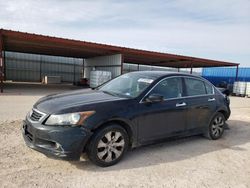 Salvage cars for sale at Andrews, TX auction: 2008 Honda Accord EX