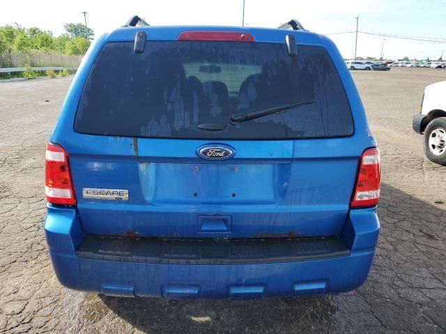 2011 Ford Escape XLT