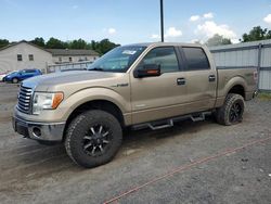Salvage cars for sale at York Haven, PA auction: 2011 Ford F150 Supercrew