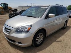 Salvage cars for sale at Elgin, IL auction: 2005 Honda Odyssey EXL