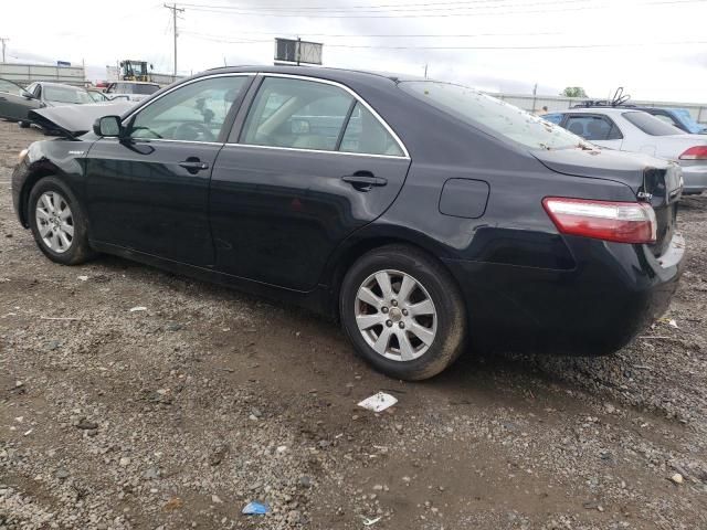 2009 Toyota Camry Hybrid