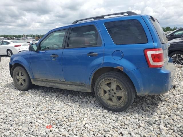 2011 Ford Escape XLT