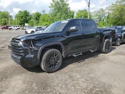 Salvage cars for sale from Copart Marlboro, NY: 2023 Toyota Tundra Crewmax SR