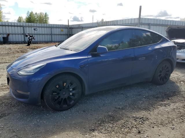 2020 Tesla Model Y