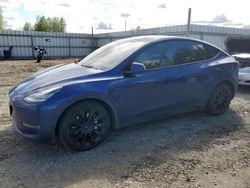 Salvage cars for sale at Arlington, WA auction: 2020 Tesla Model Y