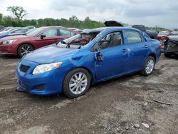 Toyota salvage cars for sale: 2009 Toyota Corolla Base