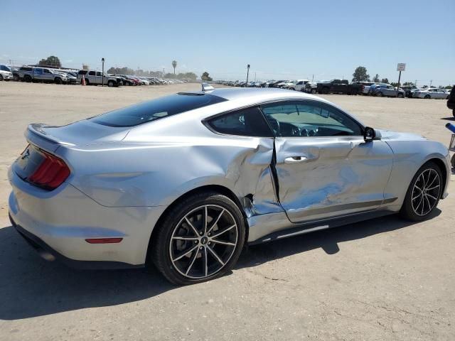 2023 Ford Mustang