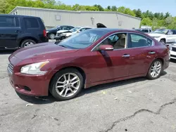 Salvage cars for sale at Exeter, RI auction: 2009 Nissan Maxima S
