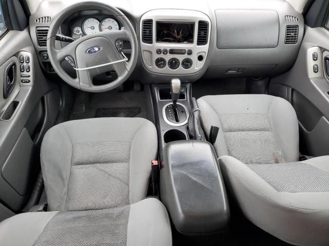 2005 Ford Escape XLT