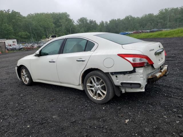 2009 Nissan Maxima S