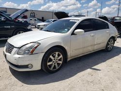 Salvage cars for sale from Copart Haslet, TX: 2005 Nissan Maxima SE