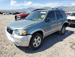 Salvage cars for sale at Magna, UT auction: 2007 Ford Escape HEV