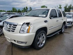 Salvage cars for sale from Copart Bridgeton, MO: 2008 Cadillac Escalade Luxury