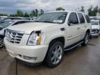 2008 Cadillac Escalade Luxury