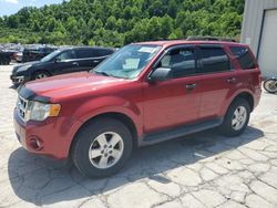 Salvage cars for sale from Copart Hurricane, WV: 2012 Ford Escape XLT