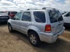 2005 Ford Escape Limited