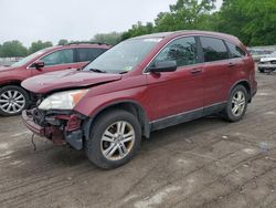 Salvage cars for sale at Ellwood City, PA auction: 2010 Honda CR-V EX