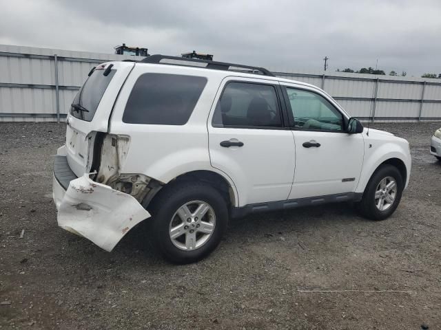 2008 Ford Escape HEV