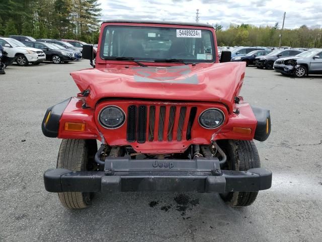 2002 Jeep Wrangler / TJ SE