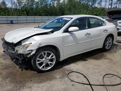 Salvage cars for sale from Copart Harleyville, SC: 2013 Nissan Maxima S