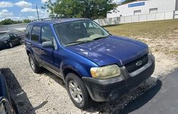 Salvage cars for sale at Apopka, FL auction: 2005 Ford Escape XLT