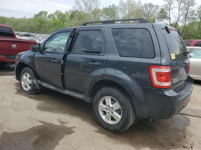 2009 Ford Escape XLT