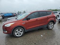 Vehiculos salvage en venta de Copart Indianapolis, IN: 2014 Ford Escape SE