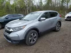 Salvage cars for sale from Copart Ontario Auction, ON: 2019 Honda CR-V LX