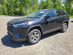 Salvage cars for sale at Bowmanville, ON auction: 2024 Toyota Rav4 XLE