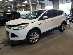 Salvage cars for sale at Blaine, MN auction: 2013 Ford Escape SEL