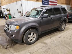 Salvage cars for sale at Anchorage, AK auction: 2011 Ford Escape XLT