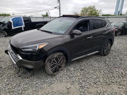 Salvage cars for sale at Windsor, NJ auction: 2019 Hyundai Tucson Limited