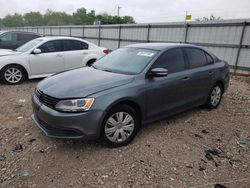 Salvage cars for sale at Lawrenceburg, KY auction: 2014 Volkswagen Jetta SE