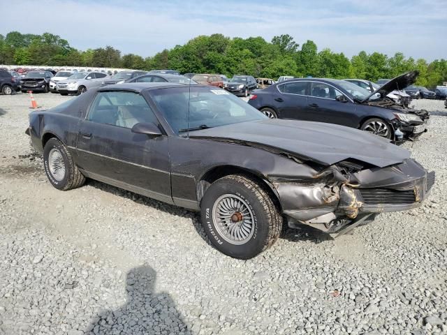 1983 Pontiac Firebird SE