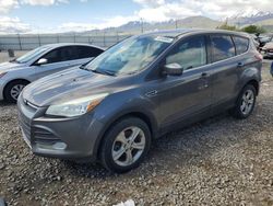 Salvage cars for sale at Magna, UT auction: 2013 Ford Escape SE