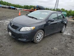 2010 Toyota Corolla Base en venta en Windsor, NJ