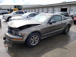 Salvage cars for sale at Louisville, KY auction: 2005 Ford Mustang